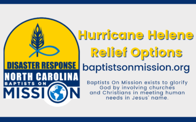 Hurricane Helene Relief Options