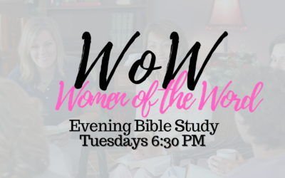 Women of the Word (WOW) Bible Study