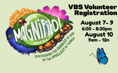 VBS Volunteers needed!