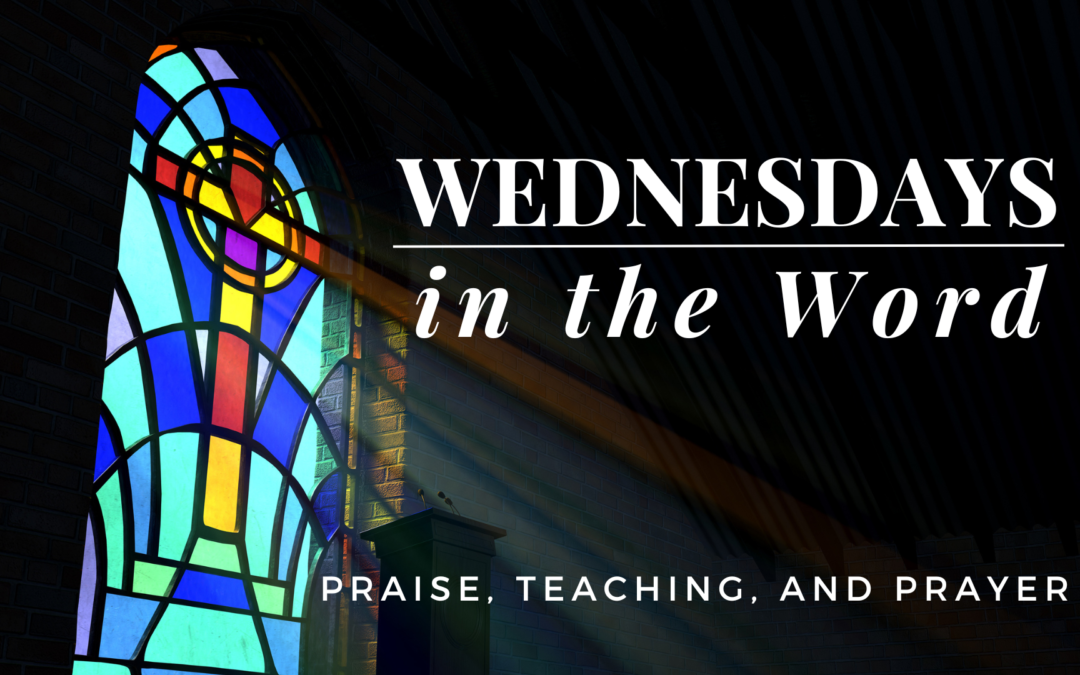 Wednesday’s in the Word – From Adam to Jesus: God’s Faithful Plan