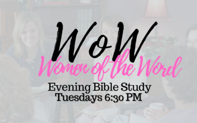 Women of the Word Bible Study