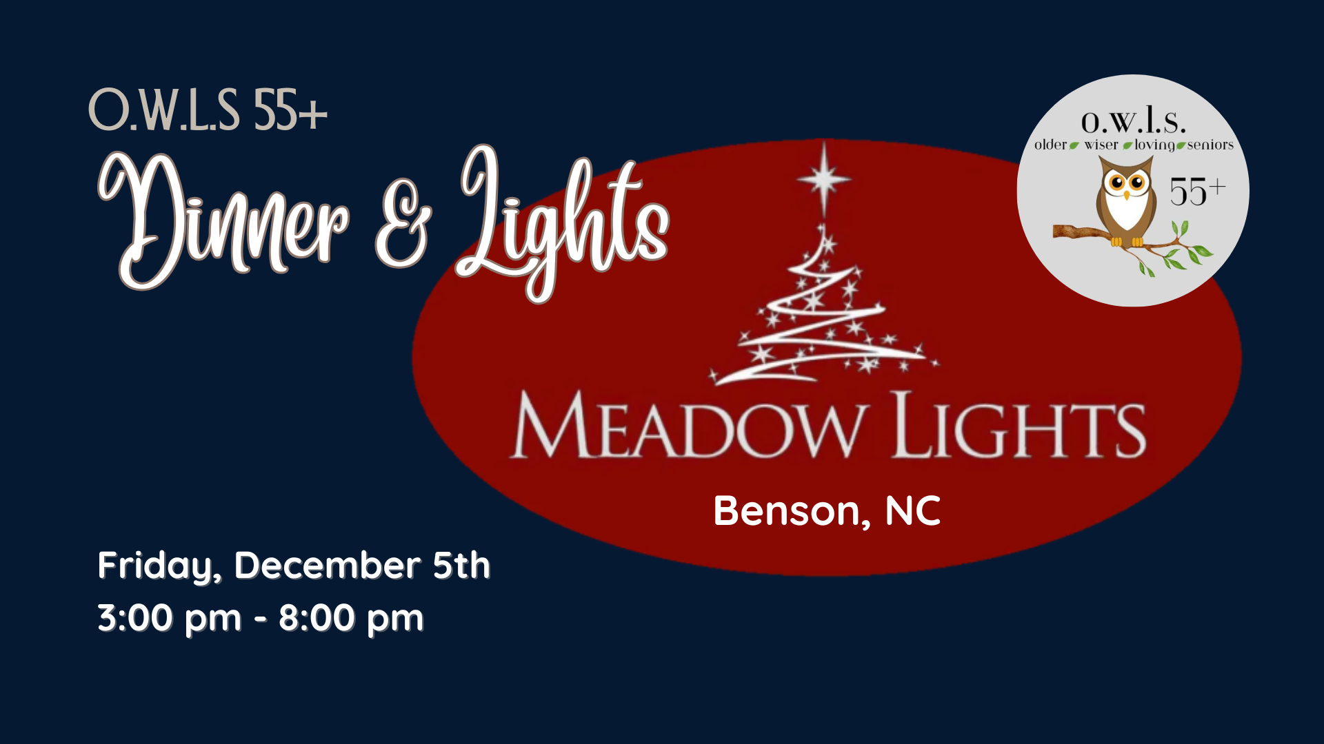 125 OWLS Meadows Lights Website 2025 (1920 x 1080 px)