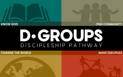 D-Groups